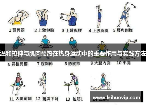 温和拉伸与肌肉预热在热身运动中的重要作用与实践方法